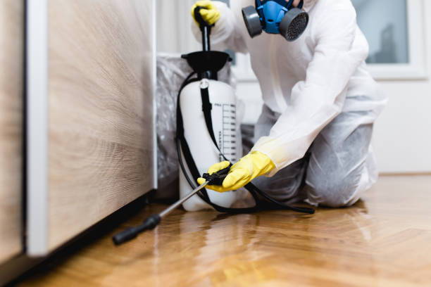 Best Commercial Pest Control Services  in Navesink, NJ