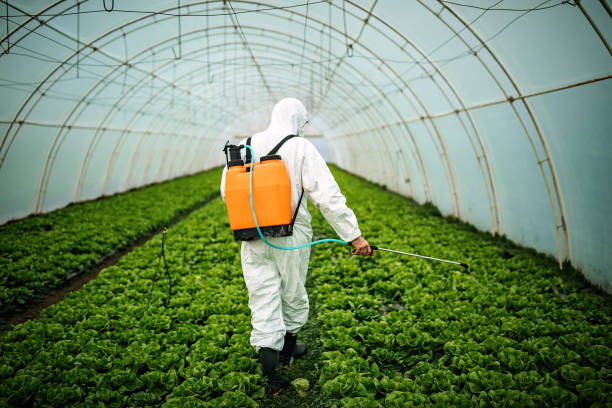 Best Pest Control for Restaurants  in Navesink, NJ