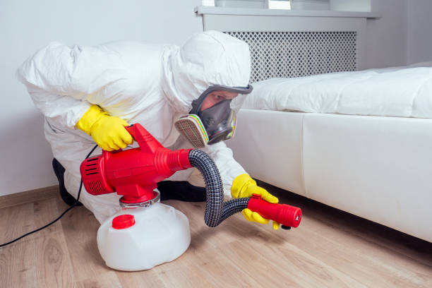 Wildlife Control Services in Navesink, NJ