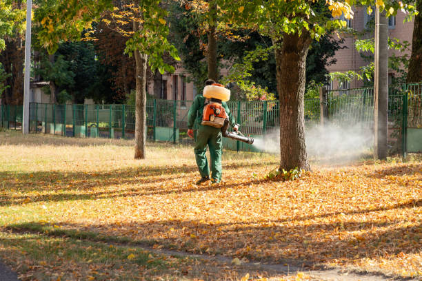Wasp Removal Services in Navesink, NJ