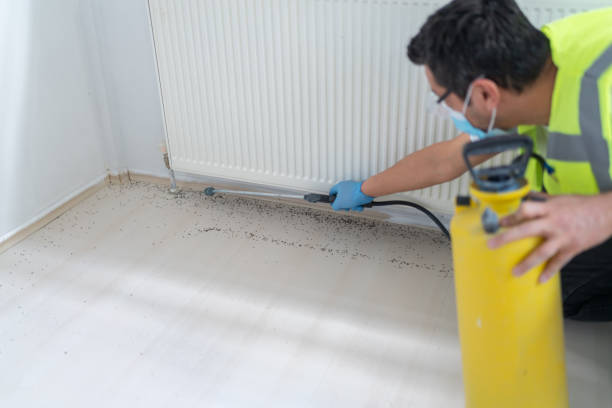 Best Pest Removal Services  in Navesink, NJ