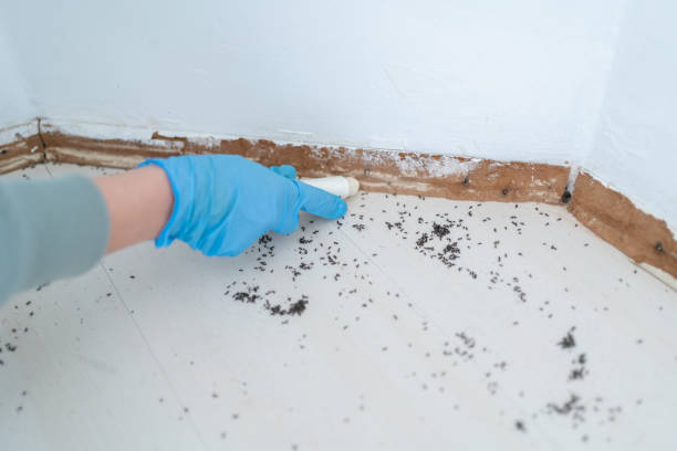 Best Commercial Pest Control Services  in Navesink, NJ