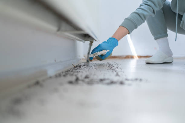Professional Pest Control in Navesink, NJ