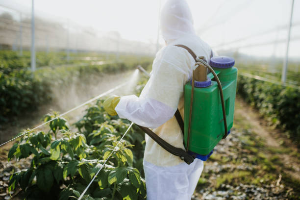 Best Mosquito Control Services  in Navesink, NJ